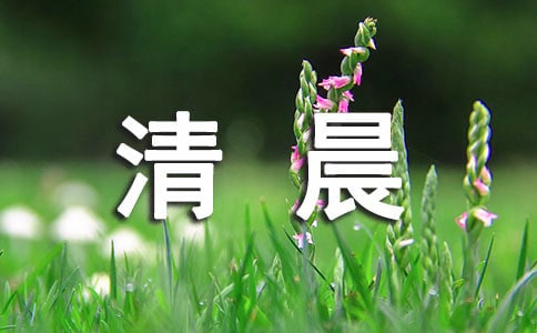 清晨问候语